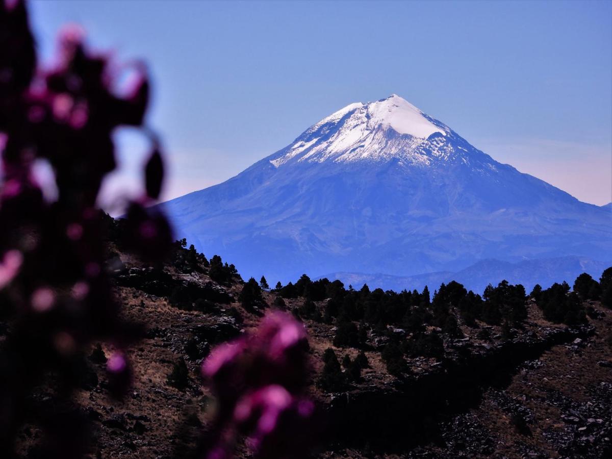 Hostal Azul Puebla Barrio El Alto المظهر الخارجي الصورة